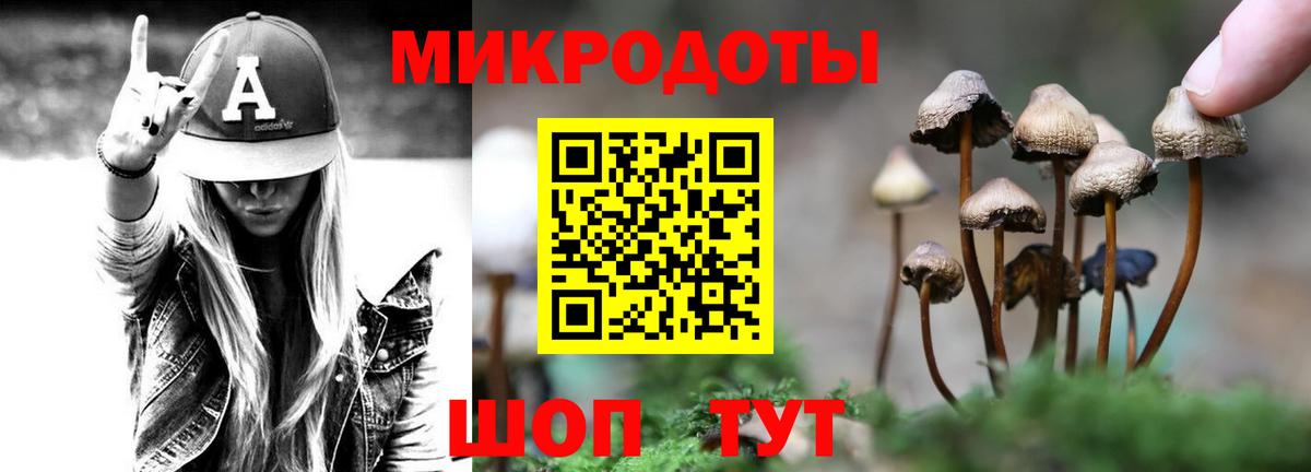 Галлюциногенные грибы GOLDEN TEACHER Шали